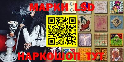 таблы Новозыбков