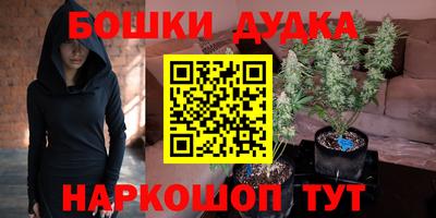 таблы Новозыбков